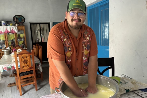 A man with his hands in a large pot of milk